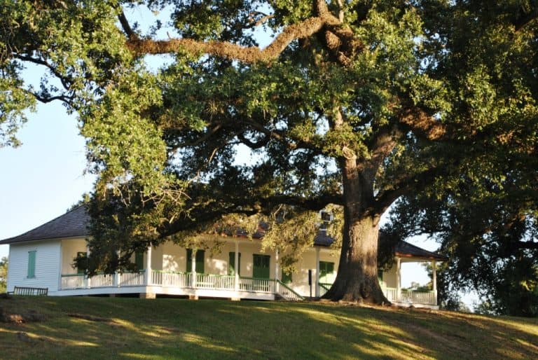 Magnolia Mound Plantation