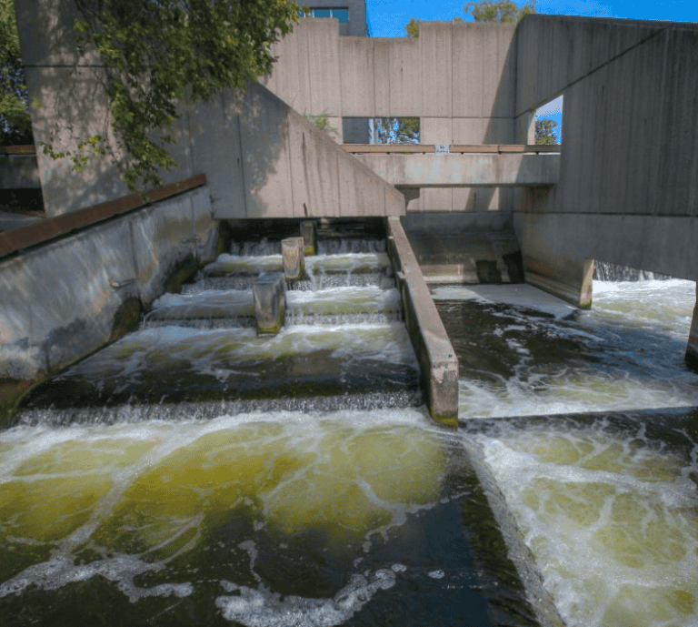 Grand Rapids Fish Ladder