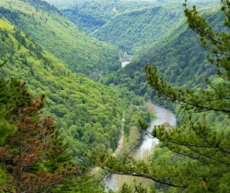 Pine Creek Gorge