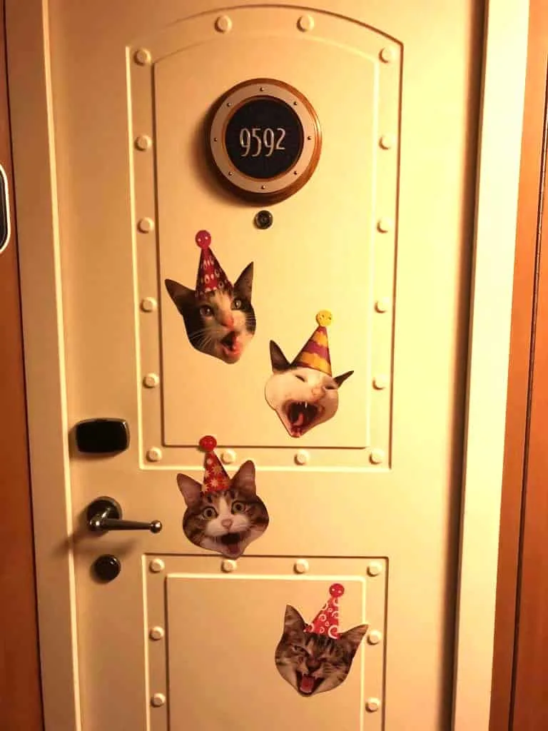 Disney Cruise door magnets for birthdays