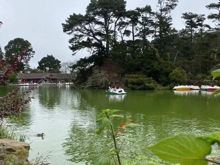 Paddleboating on Stow Lake in Golden Gate Park