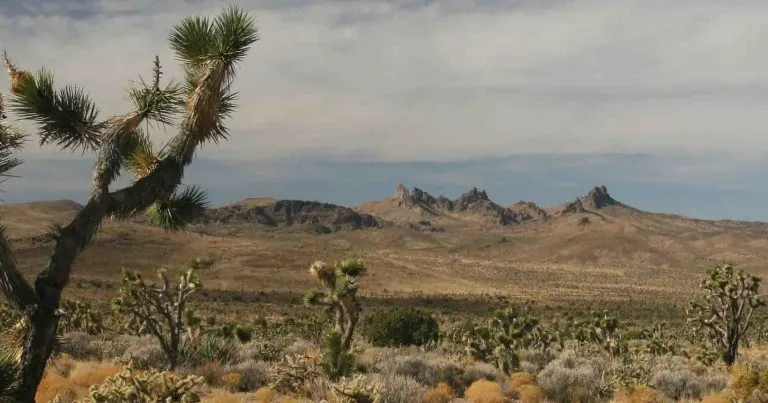 Castle Mountains National Monument