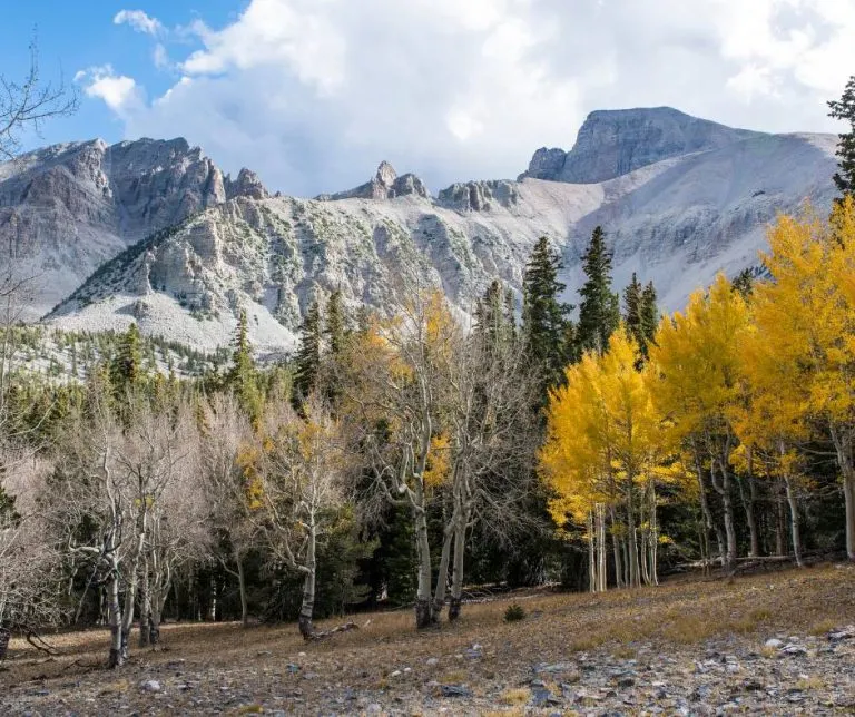 Great Basin National Park in Nevada