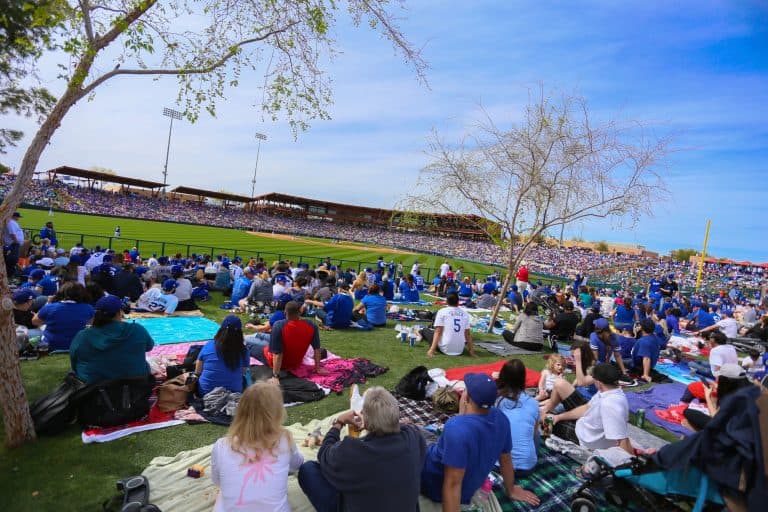 Spring training is one of the best things to do in Phoenix with teens