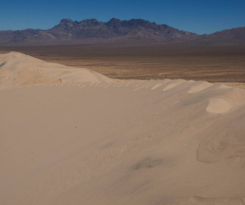 Mojave National Preserve