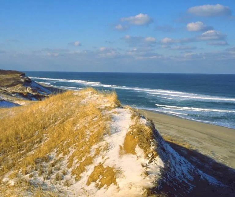 Cape Cod beach