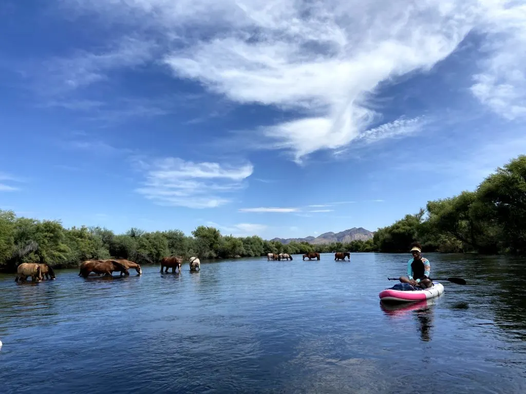 15 Amazing Outdoor Activities In Phoenix