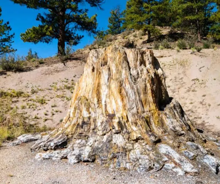 Florissant Fossil Beds is one of the national parks near Denver