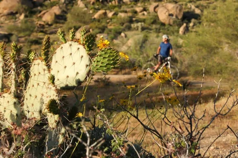 McDowell Mountain Regional Park