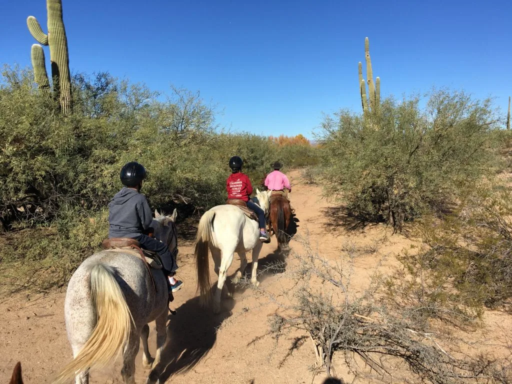 15 Amazing Outdoor Activities in Phoenix 1