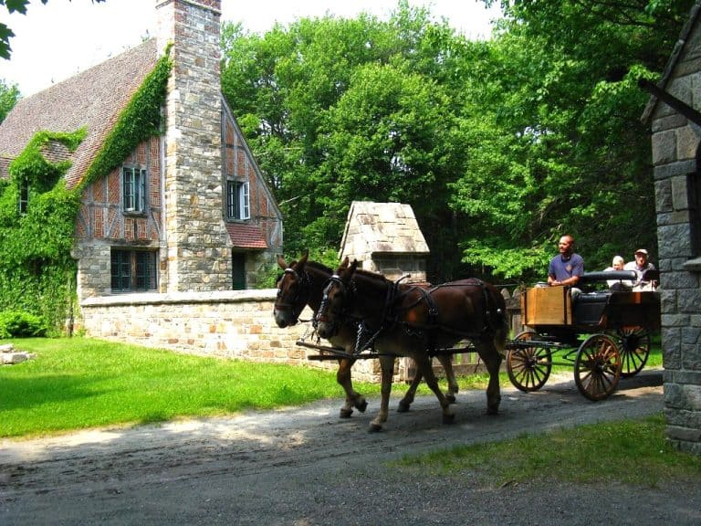 carriage ride in Acadia national park