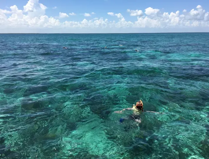 Biscayne Bay Snorkeling