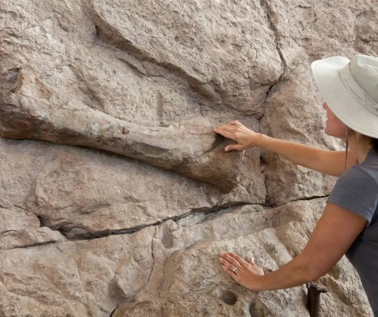 Dinosaur National Monument