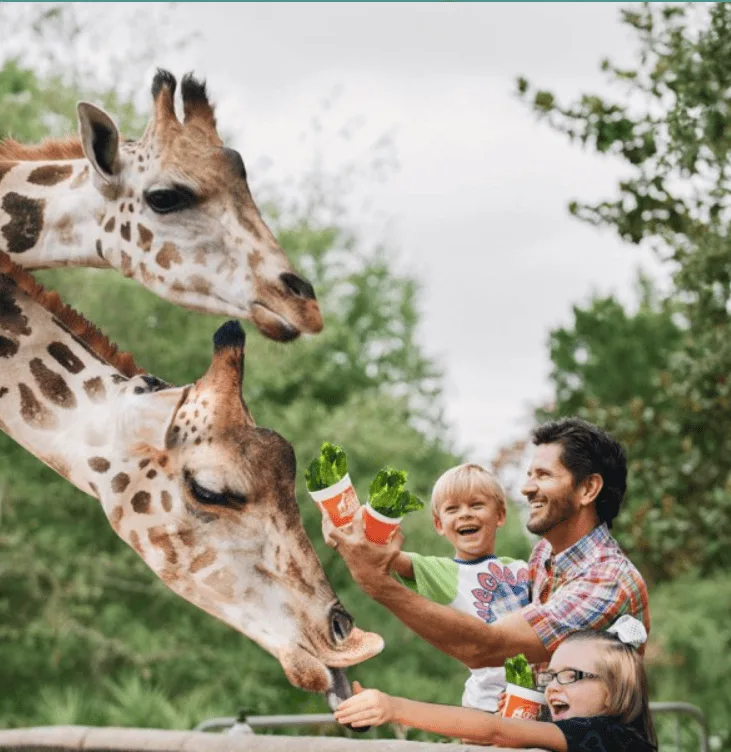 Gulf Breeze Zoo