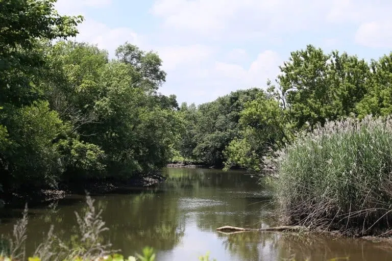 John Heinz National Wildlife Refuge is a great outdoor space in Philadelphia