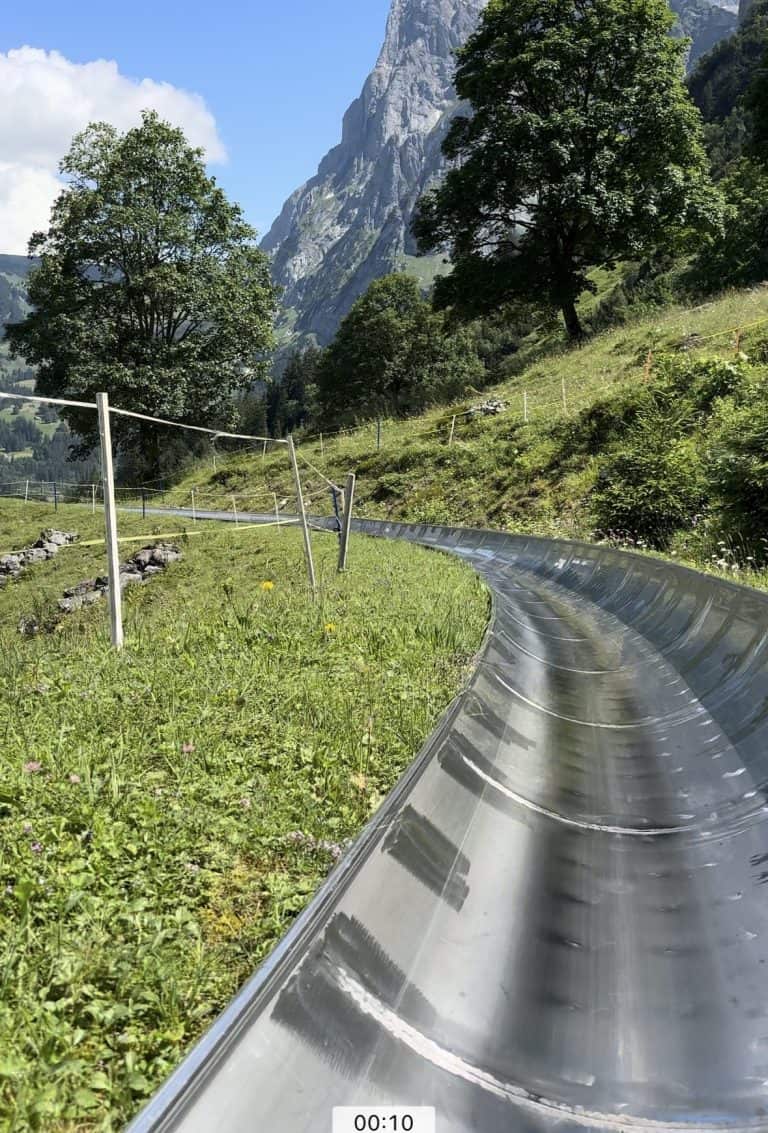 Alpine Slide