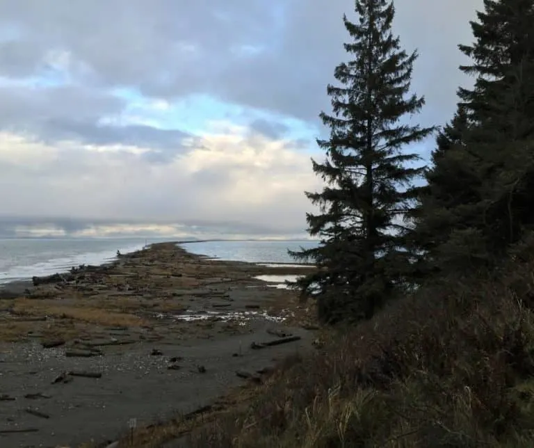 Sequim Spit