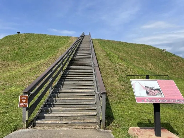 Things to Do in Cartersville Etowah Indian Mounds