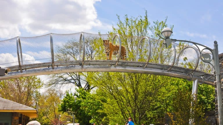 Spend a day at the Phildelphia Zoo