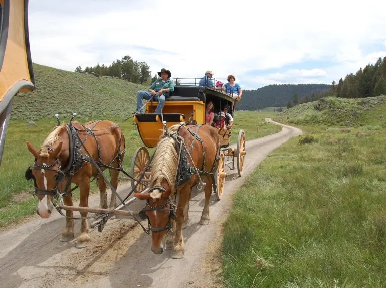 Riding to an Old West Cookout in Yellowstone