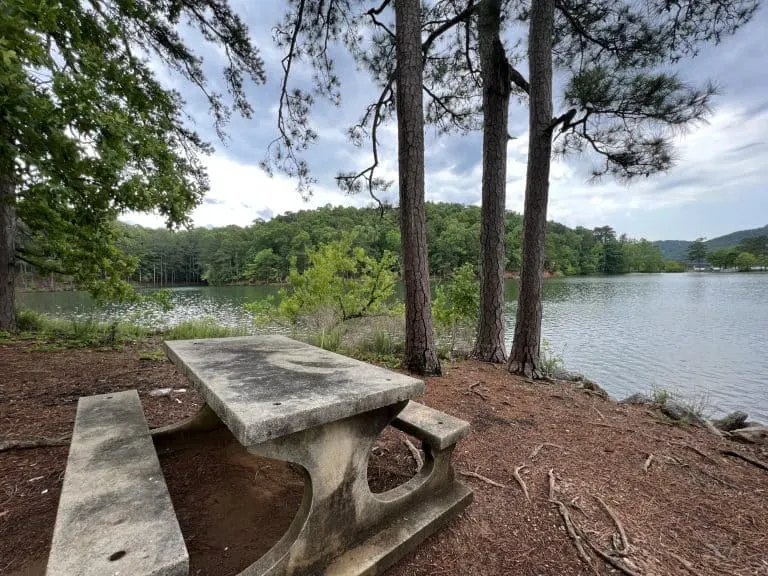 things to do in cartersville include red top mountain state park