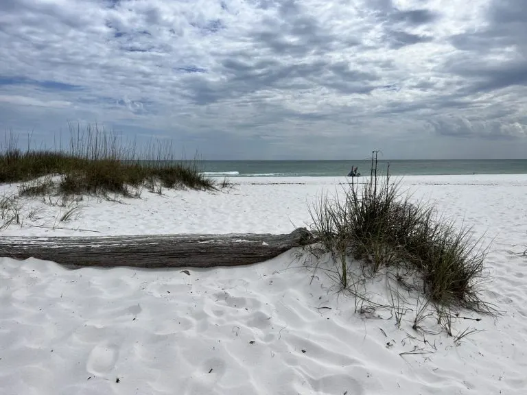things to do in pensacola with kids - gulf islands national seashore