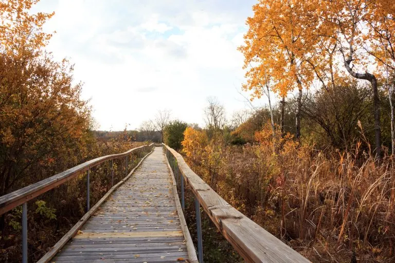 Kishwauketoe boardwalk