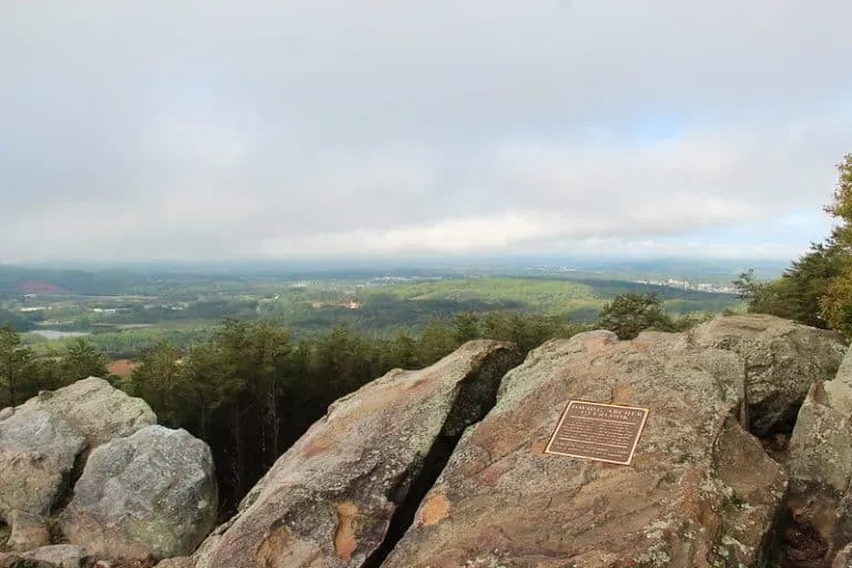 Top of Pine Mountain