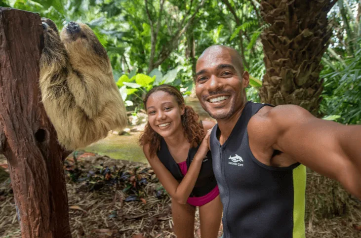 Slothie via Discovery COve