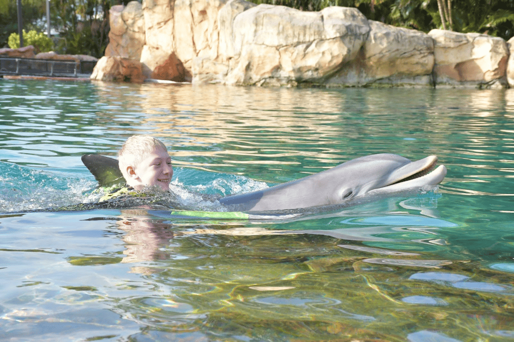 Swim with Dolphins at Discovery Cove