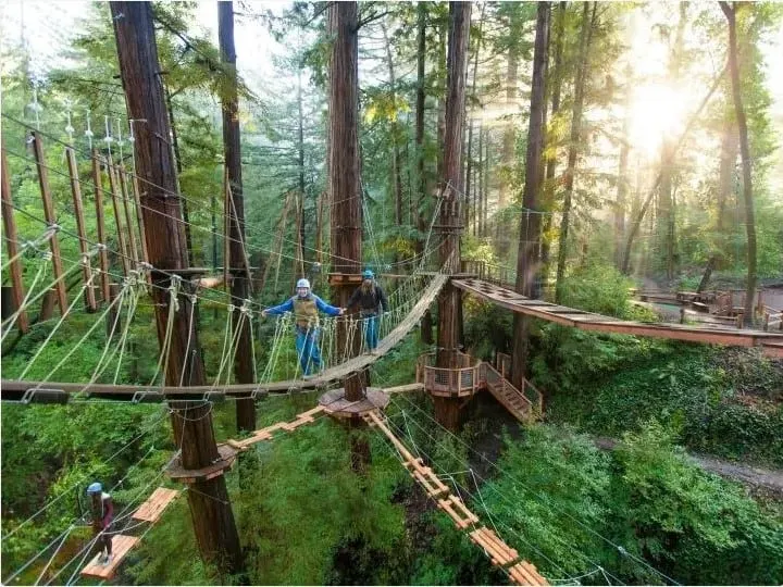 Sequoia Aerial Adventure at Mount Hermon Adventures