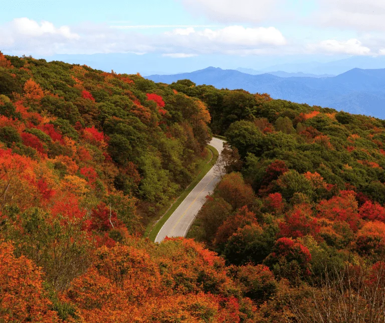 Cherohala Skyway fall foliage