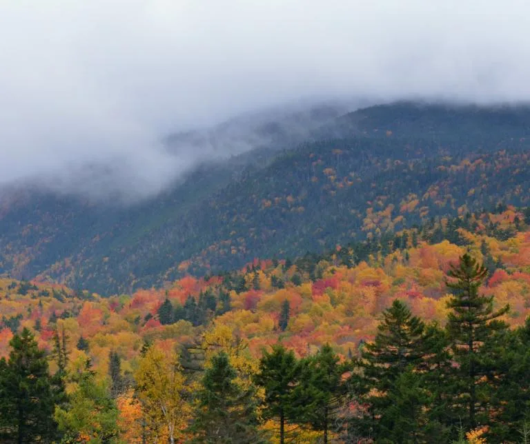 Mount Washington is a premier fall foliage destination in New Hampshire