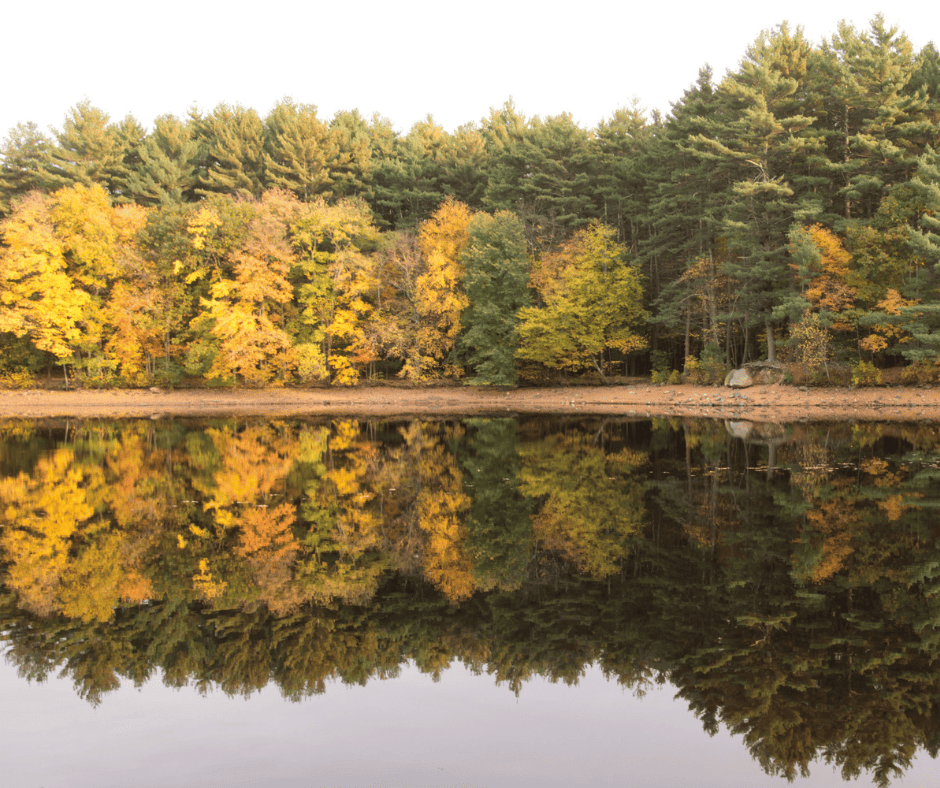 New Hampshire Fall Foliage- 12 Amazing Leaf Peeping Spots 14