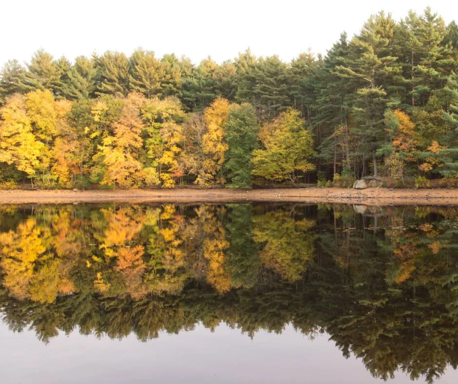 New Hampshire Fall Foliage- 12 Amazing Leaf Peeping Spots 7
