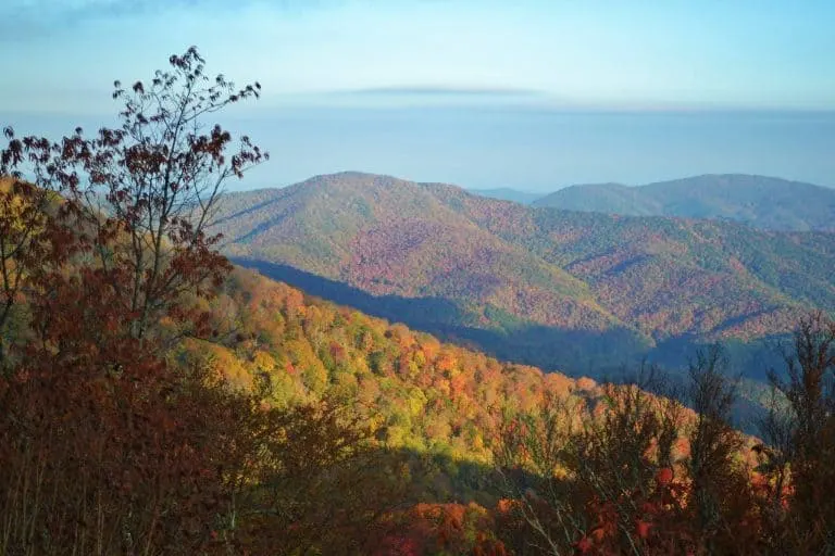 Roan Mountain State Park