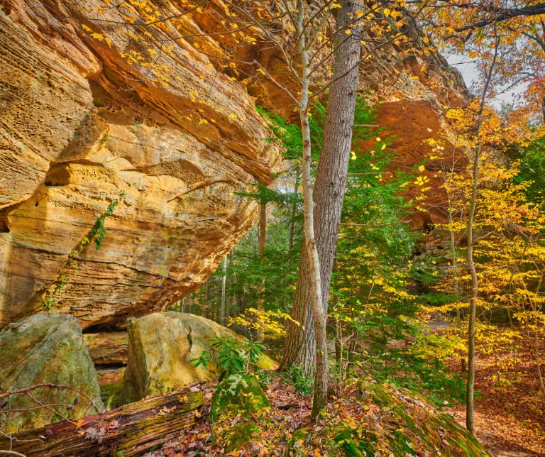 Twin Arches Trail Big South Fork National River