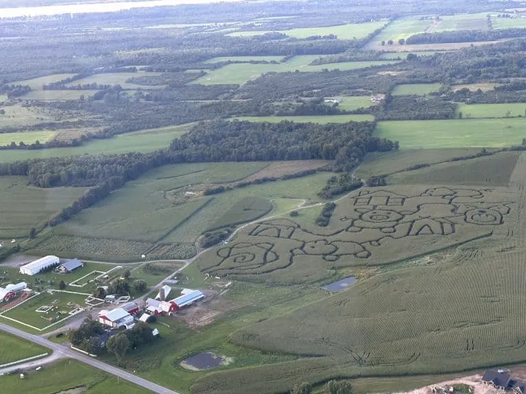 Aerial view of Old MacDonalsd's Farm