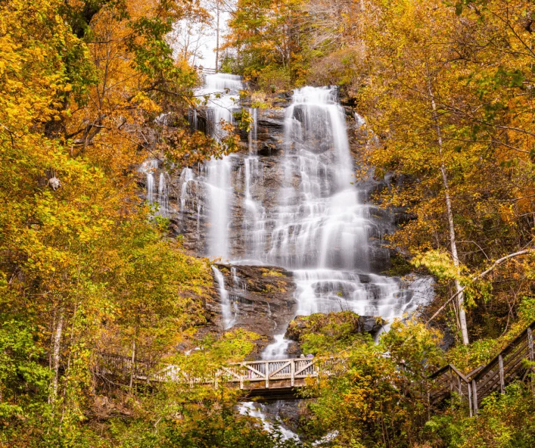 Amicalola Falls  in autumn