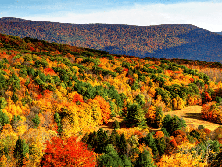 Berkshires fall foliage