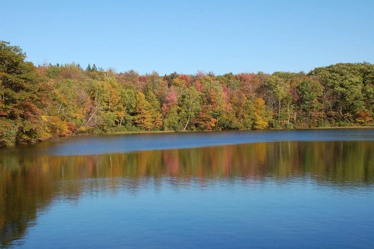 Berry Pond in the Berkshires in fall