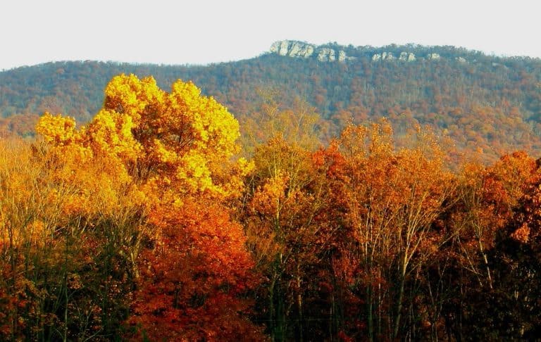 Wolf Gap Recreation Area