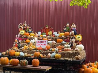 The 10 Best Pumpkin Patches in Maryland for 2024