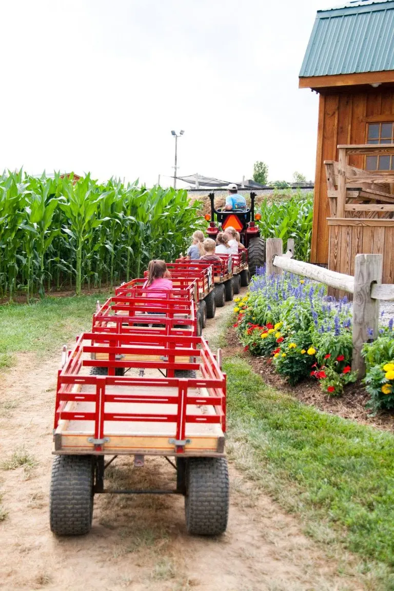 Rides at Cherry Crest Adventure Farm