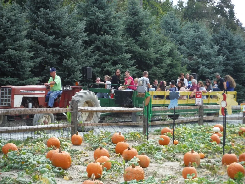 10 Best Pumpkin Patches in Pennsylvania 1