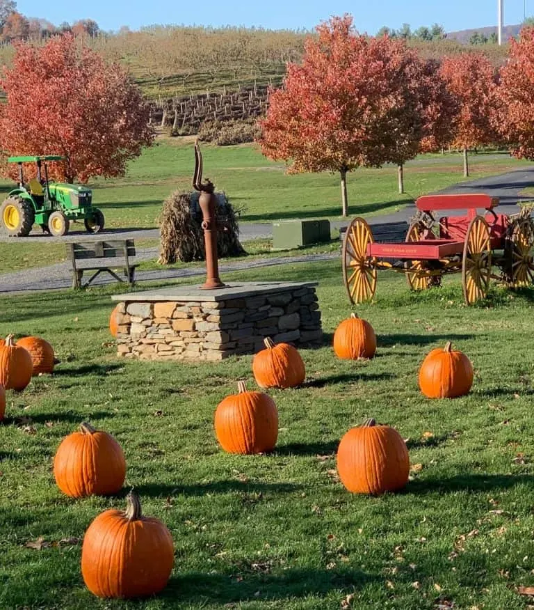 DuBois Farms pumpkin patch in New York