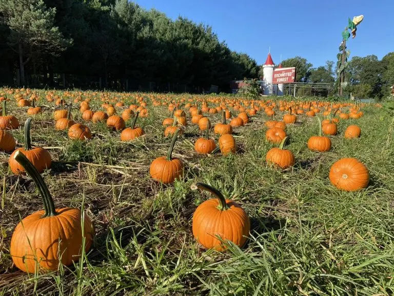 Clarks Elioak Farm in Maryland