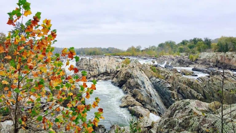 Fall in Virginia is nice at Great Falls Park