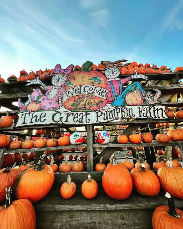 Great Pumpkin Farm