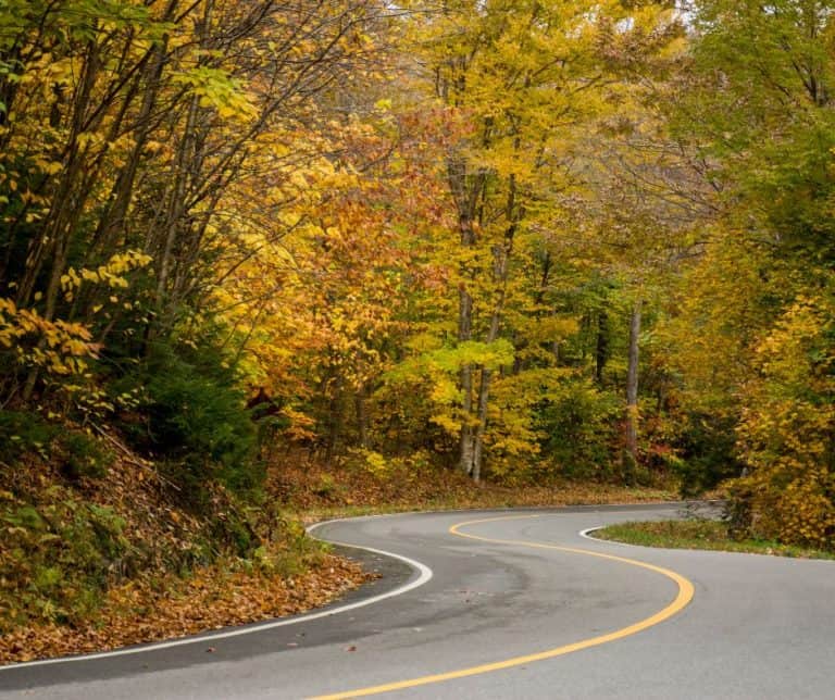 Road to Mount Greylock